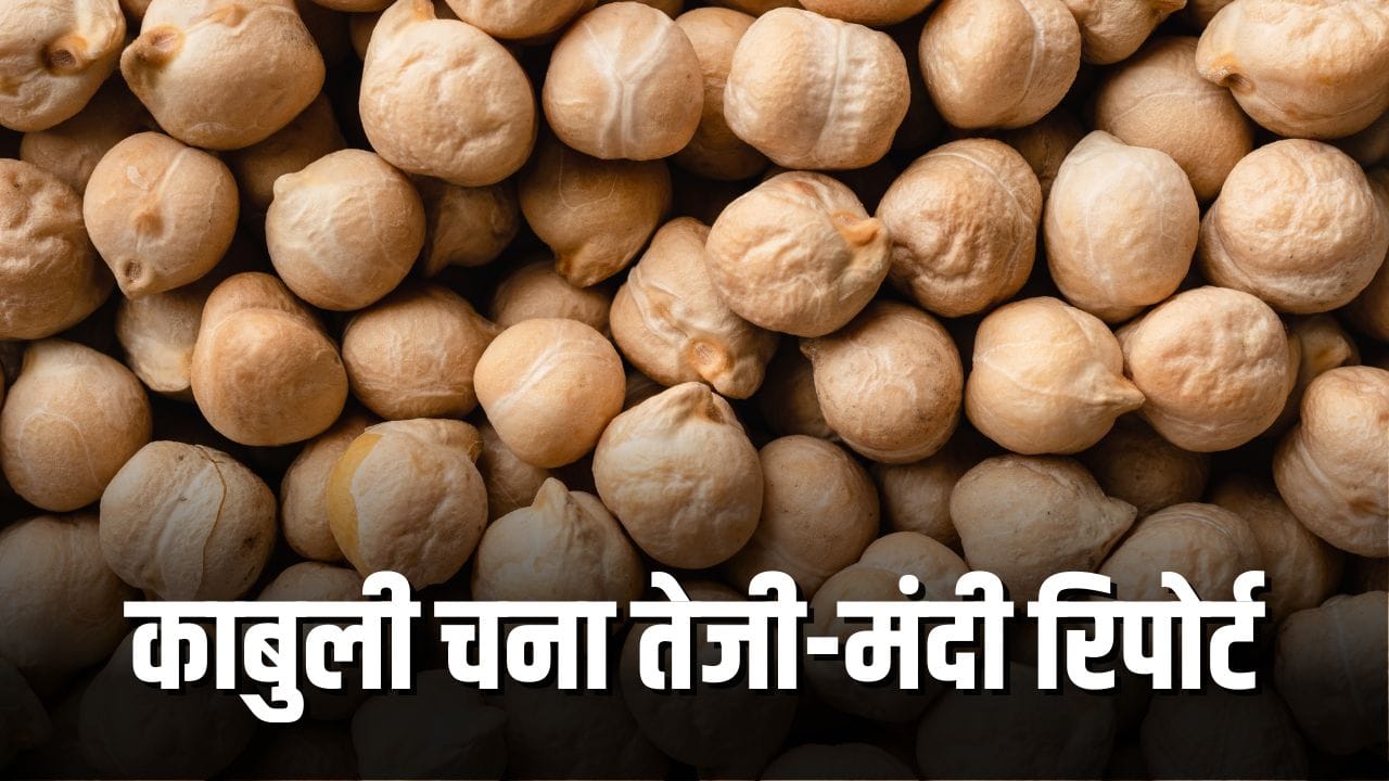 Kabuli Gram Price