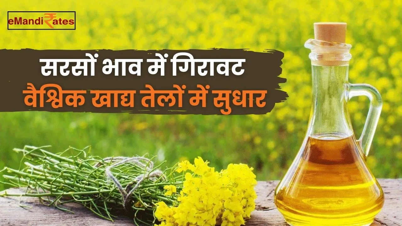 Mustard prices fall
