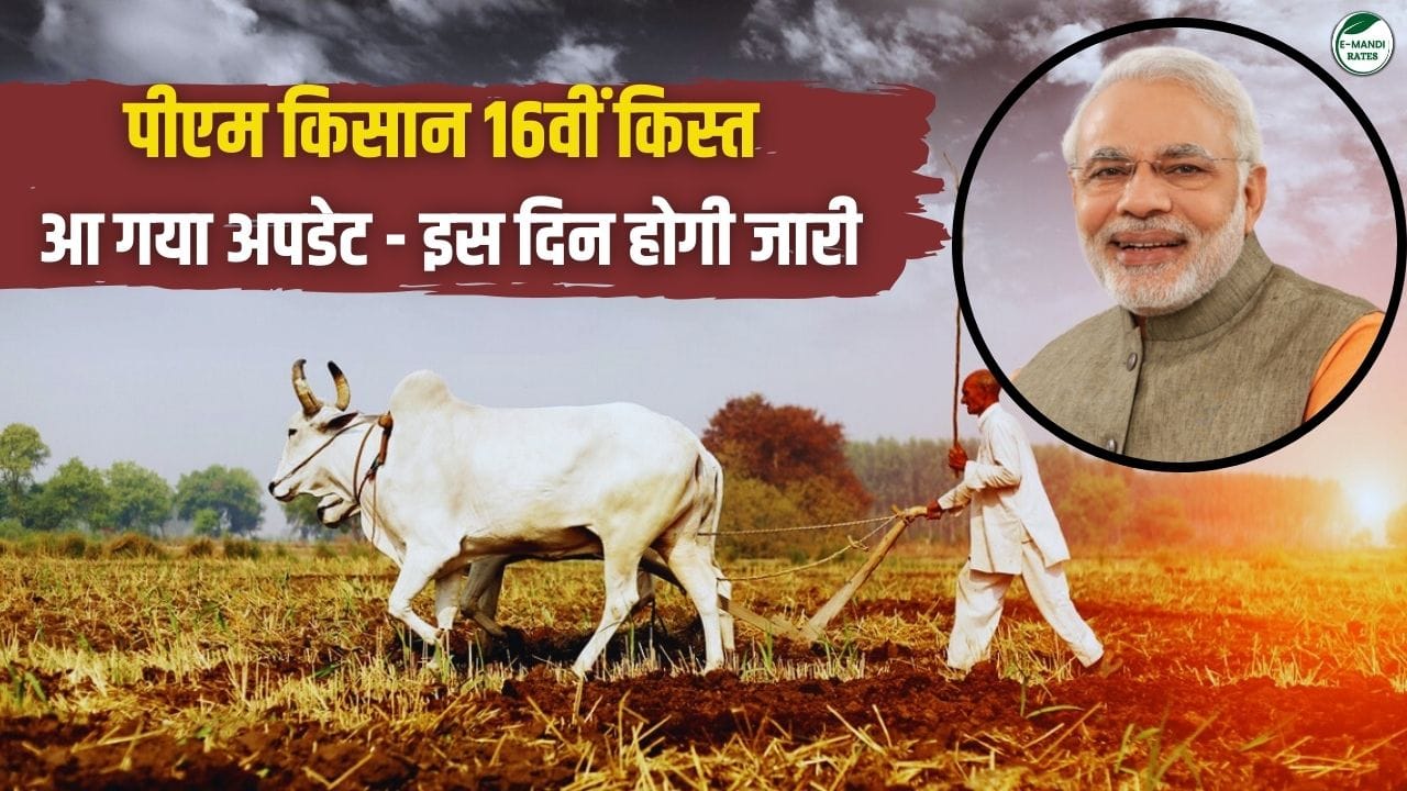 PM Kisan 16 Kist