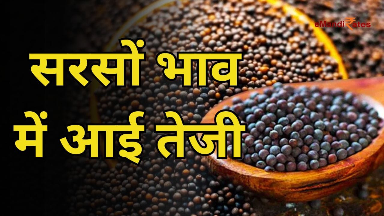 mustard price increase