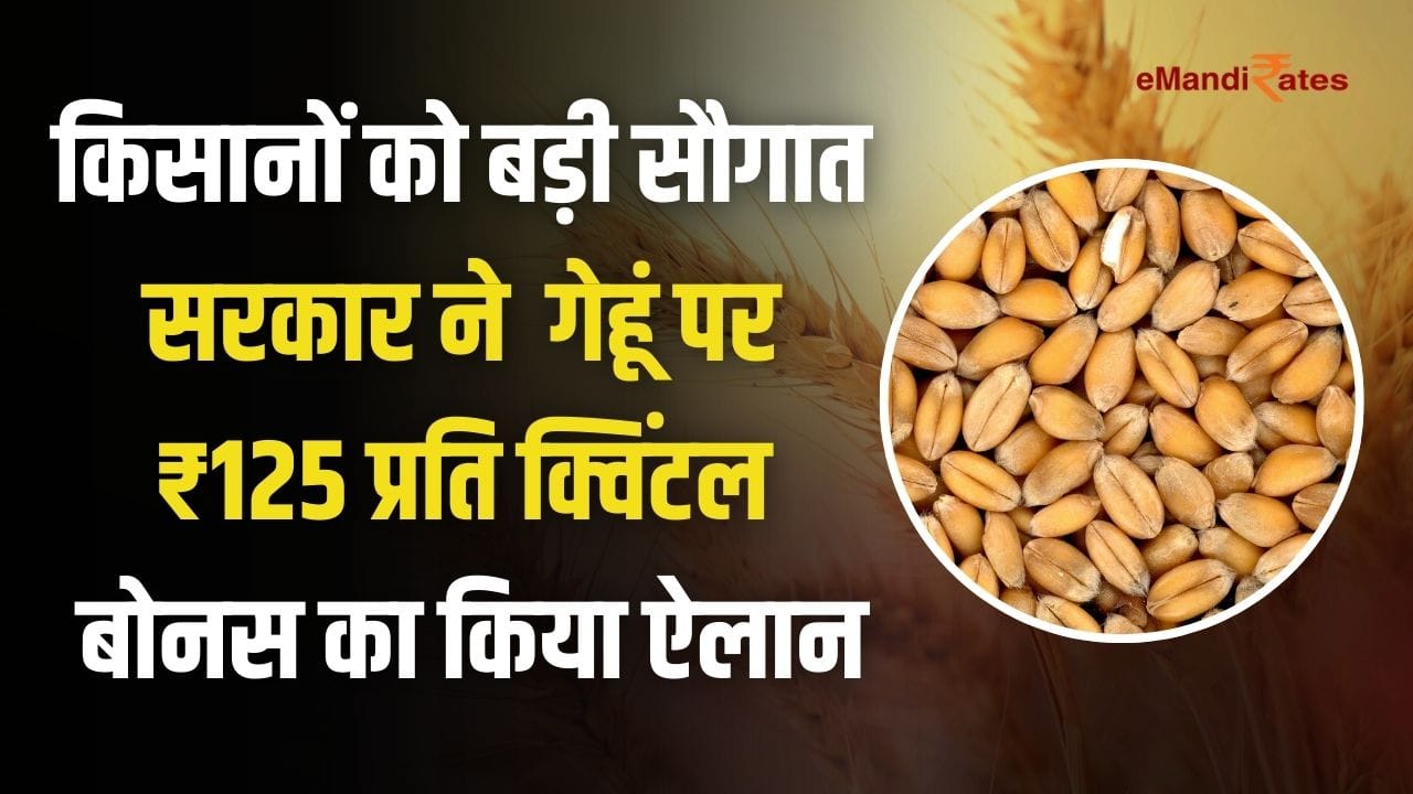 MP Wheat MSP Bonus 2024