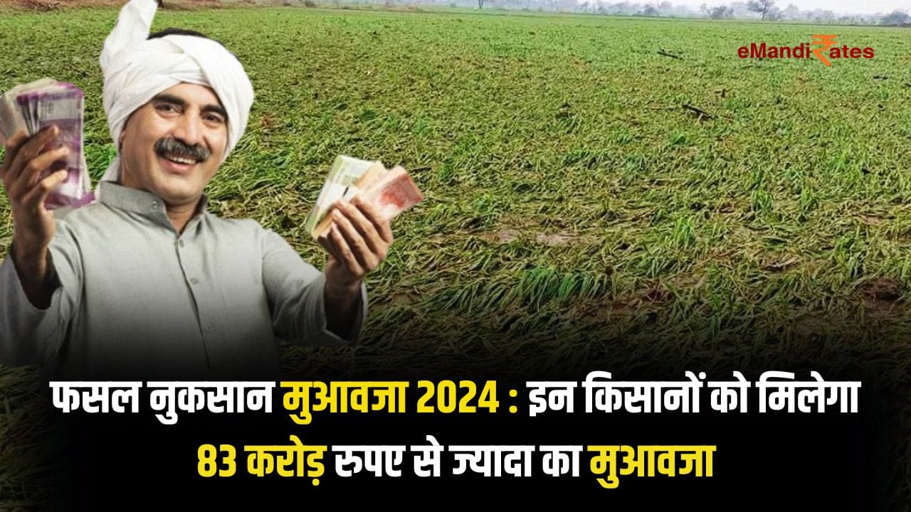 Crop Loss Compensation 2024