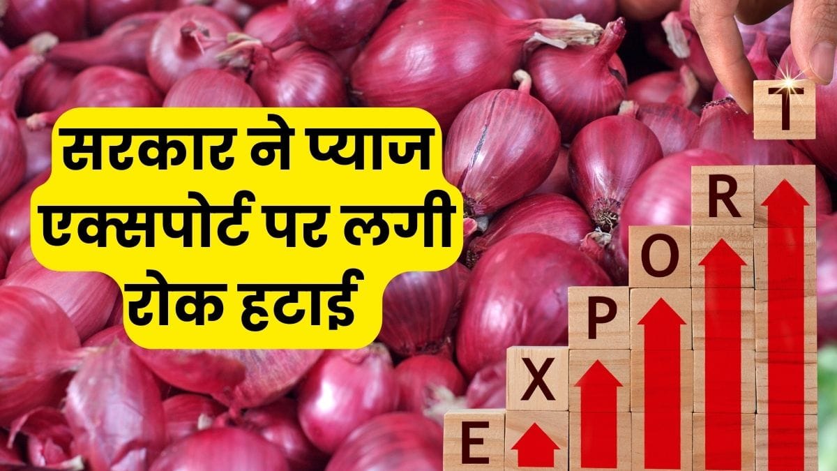 Onion Export