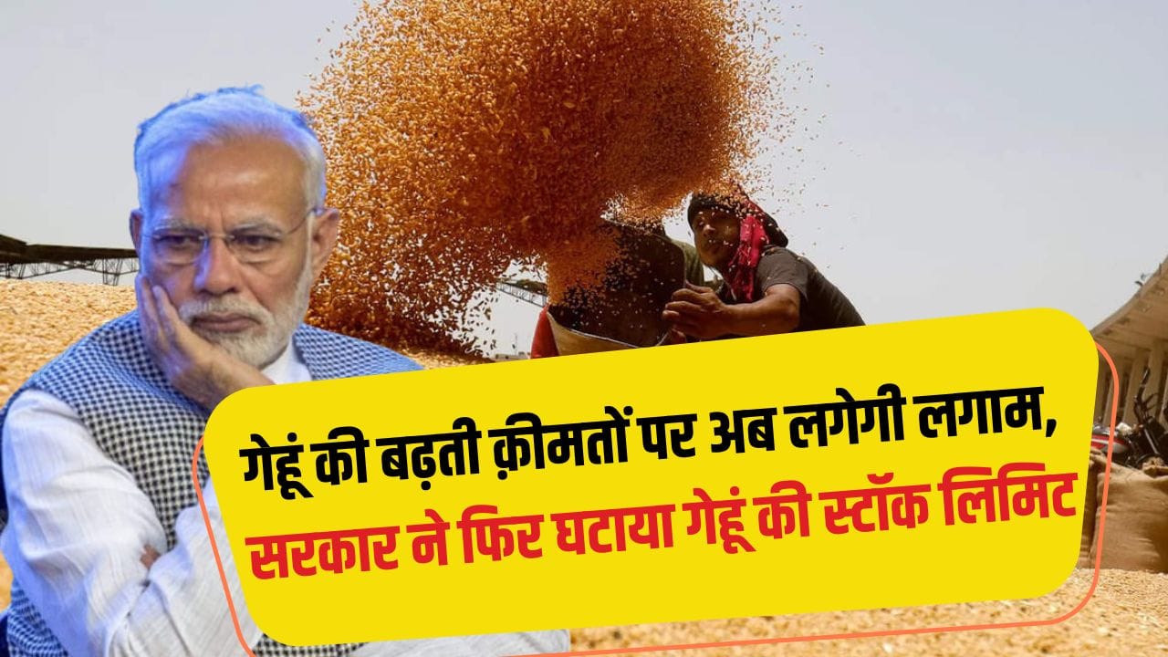 Government reduced the stock limit of wheat