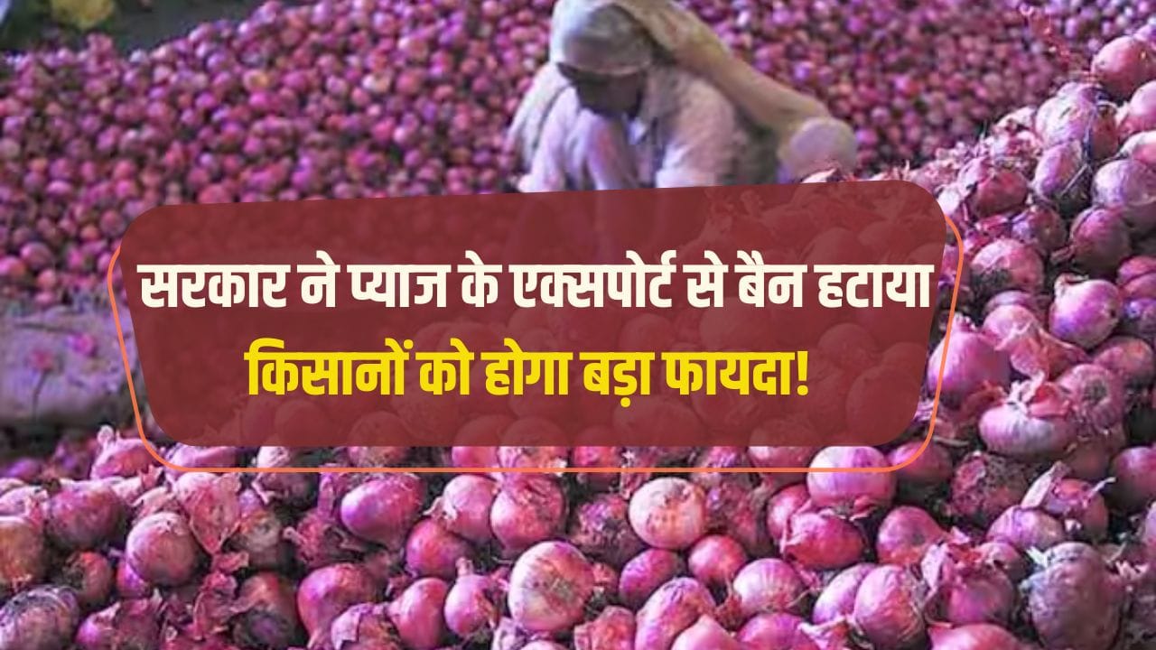Onion Export
