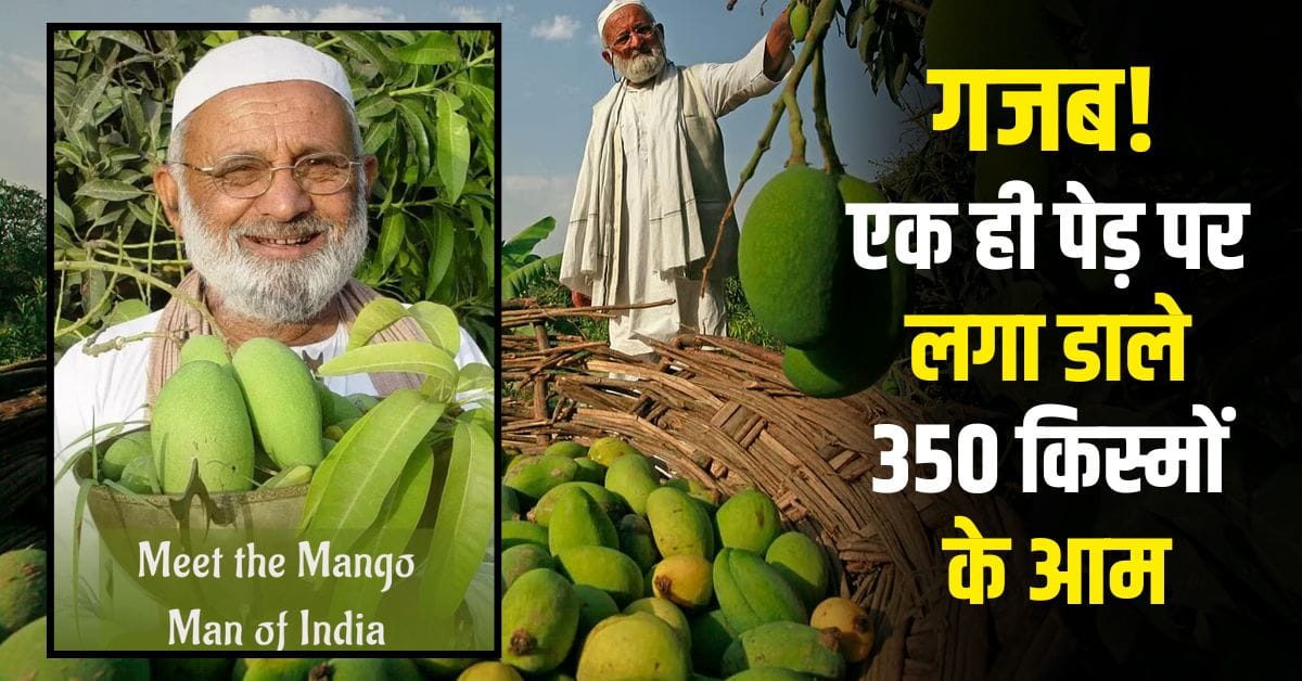 Kaleem Ullah Khan Mango Man of India