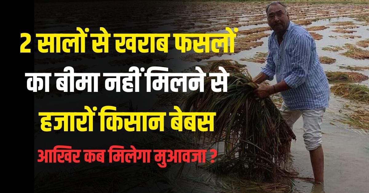 Not getting insurance for damage crops in Hanumangarh india