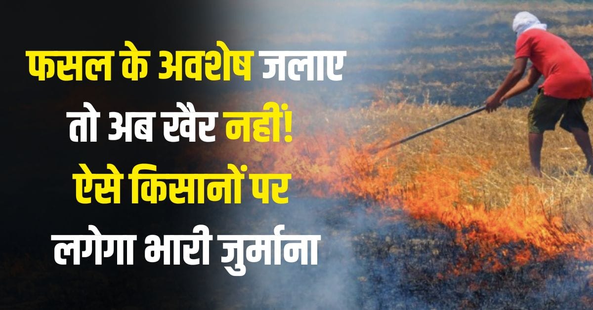 Penalty for burning wheat crop residue