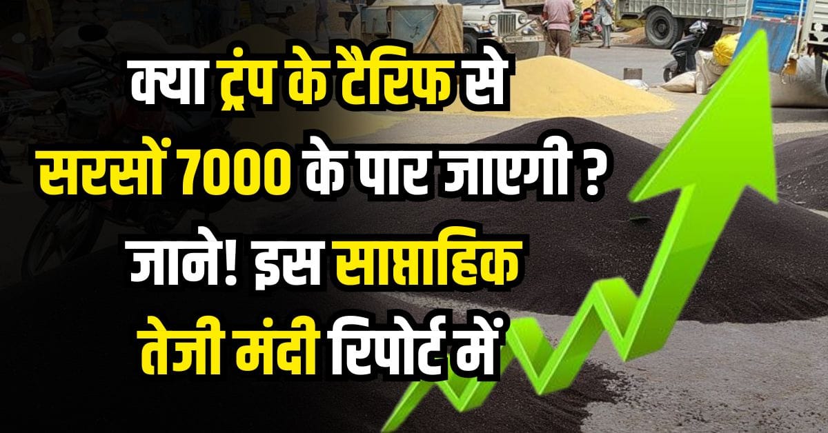 Will mustard cross Rs 7000 due to Trump's tariff?