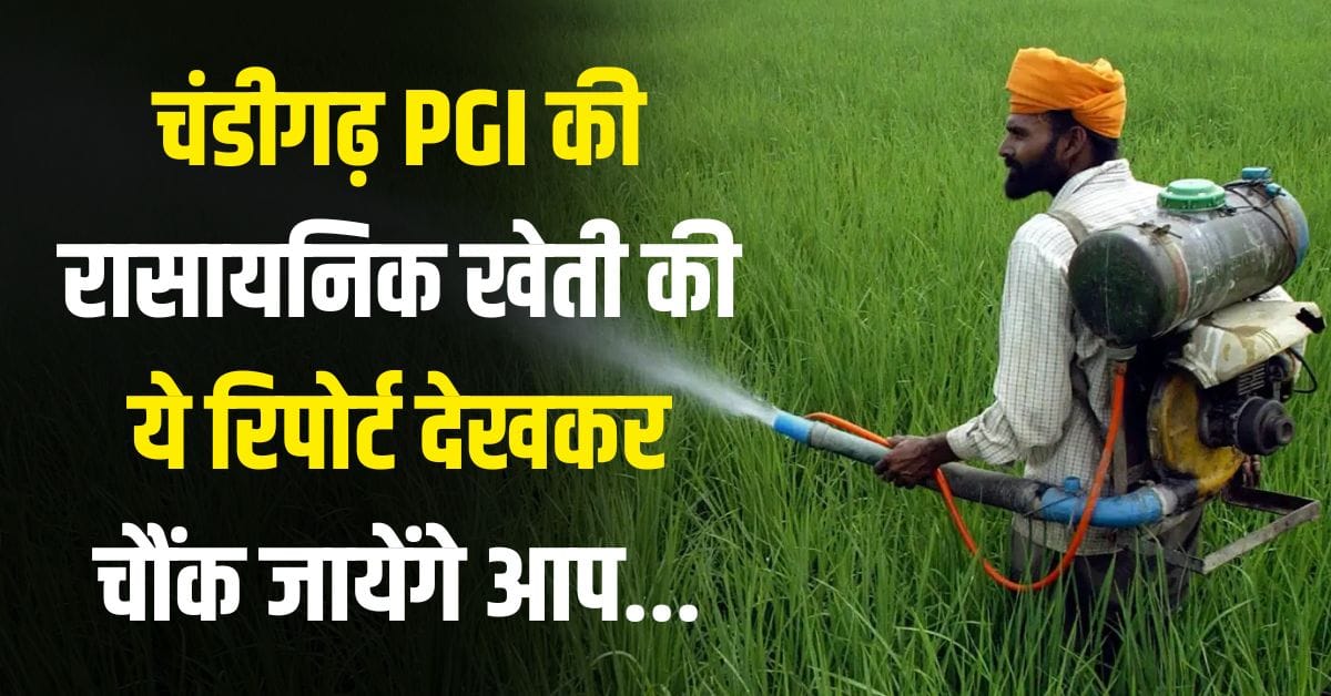 You will be shocked to see this report of Chandigarh PGI on chemical farming...
