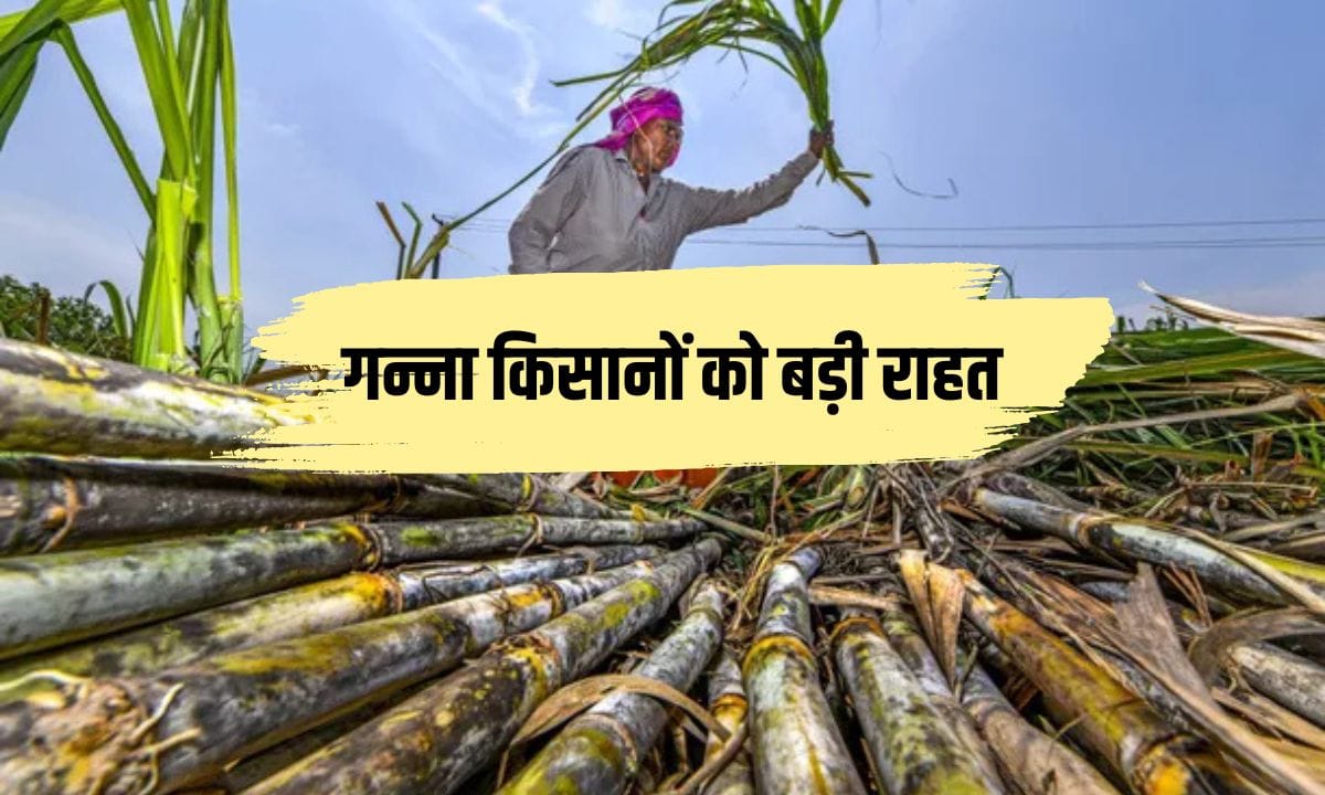 Govt hikes sugarcane FRP 2025-26