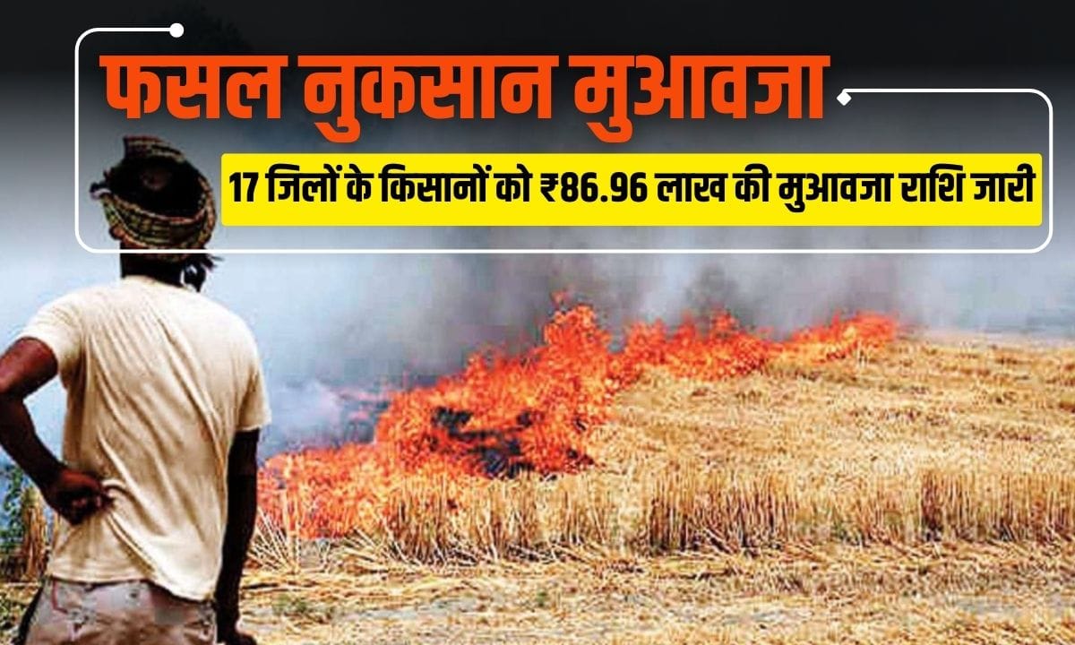Haryana Crop loss compensation