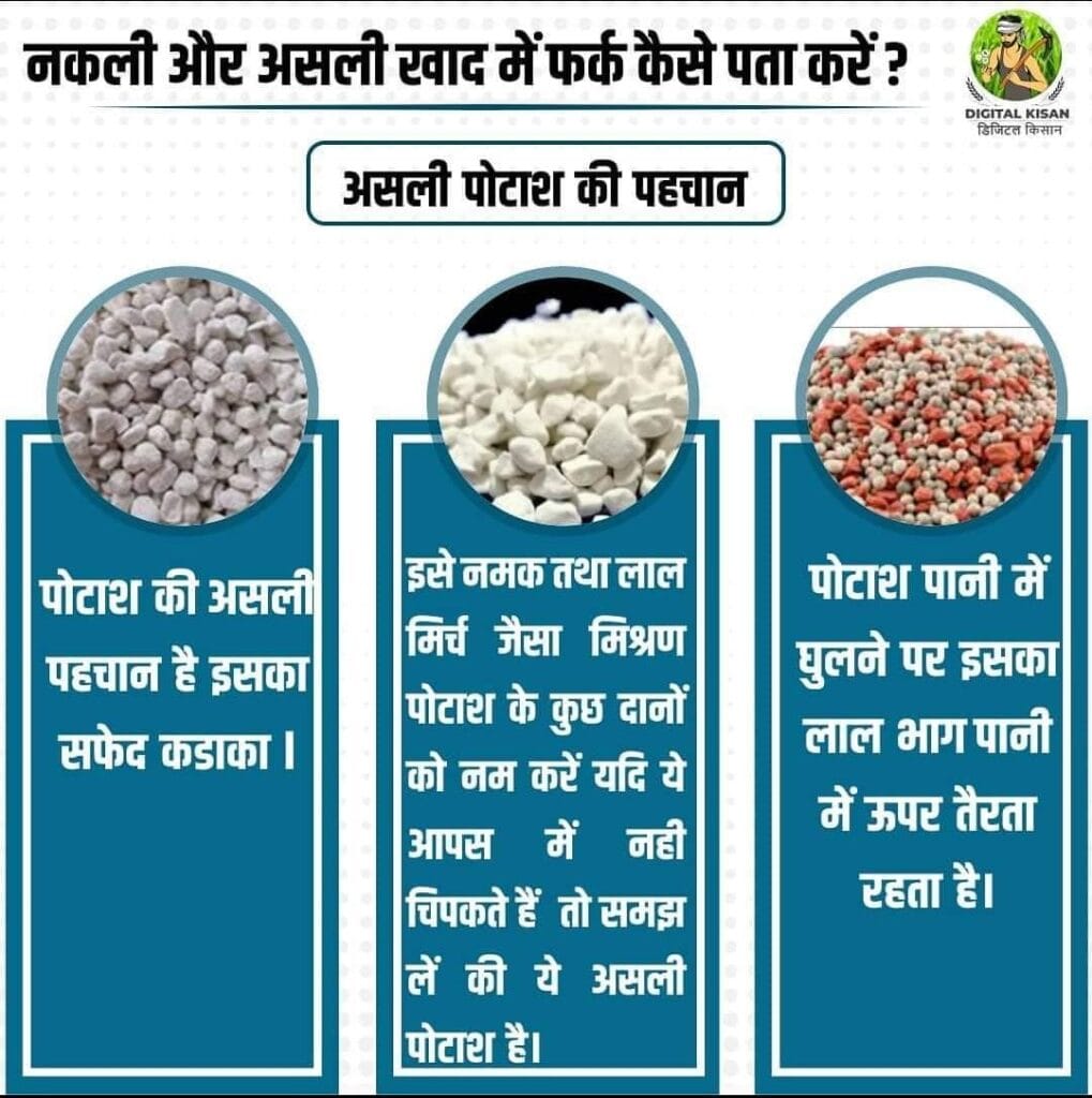असली पोटाश की पहचान