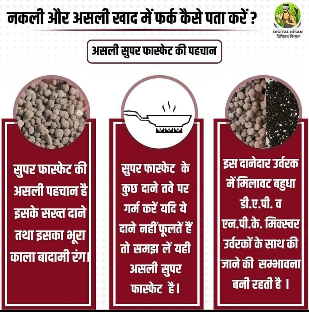 असली SSP की पहचान