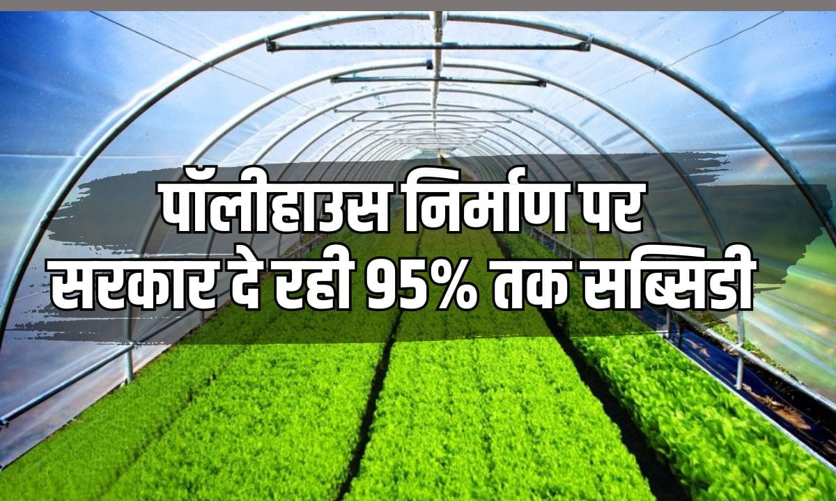 Poly House Subsidy