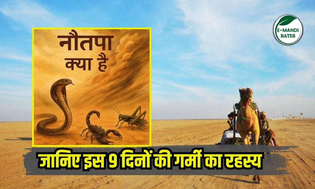 What is Nautapa