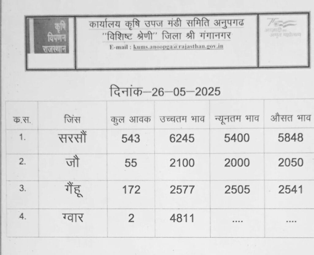 अनूपगढ़ मंडी भाव 26-05-2025