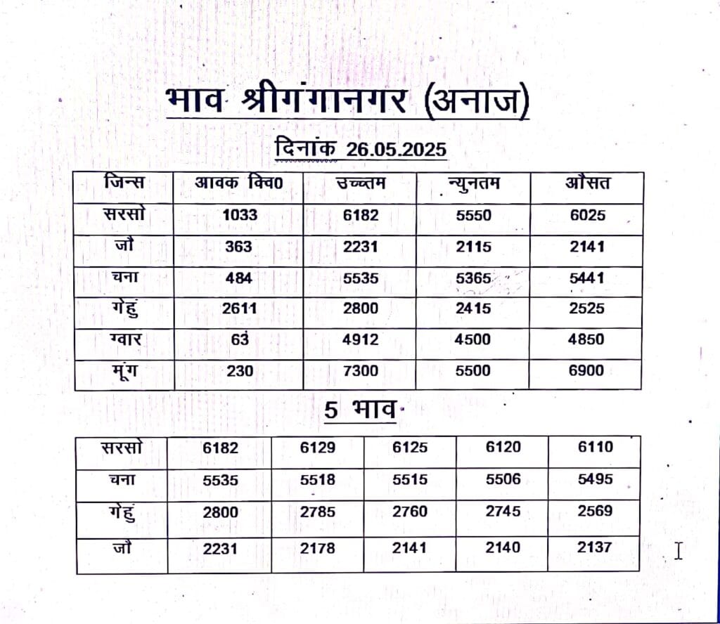 श्री गंगानगर मंडी रेट २६ मई २०२५