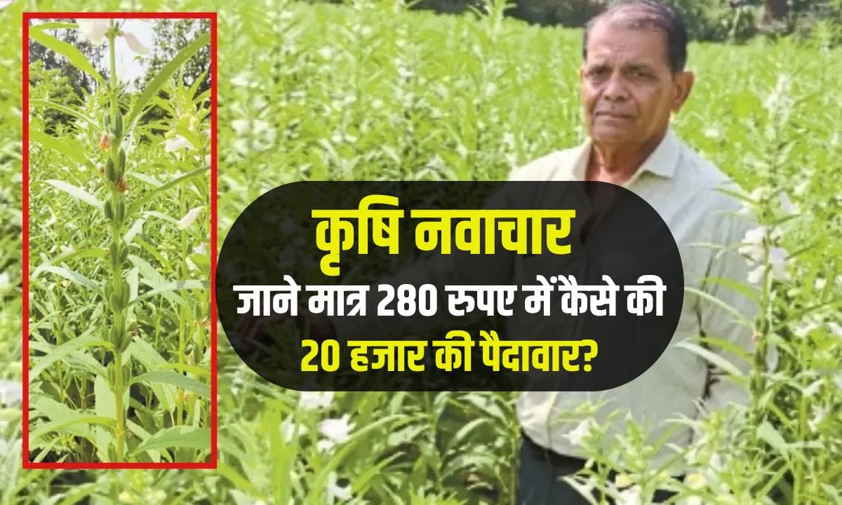 Agricultural innovation
