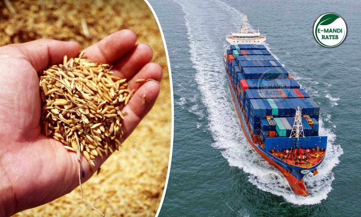 Basmati rice export stuck