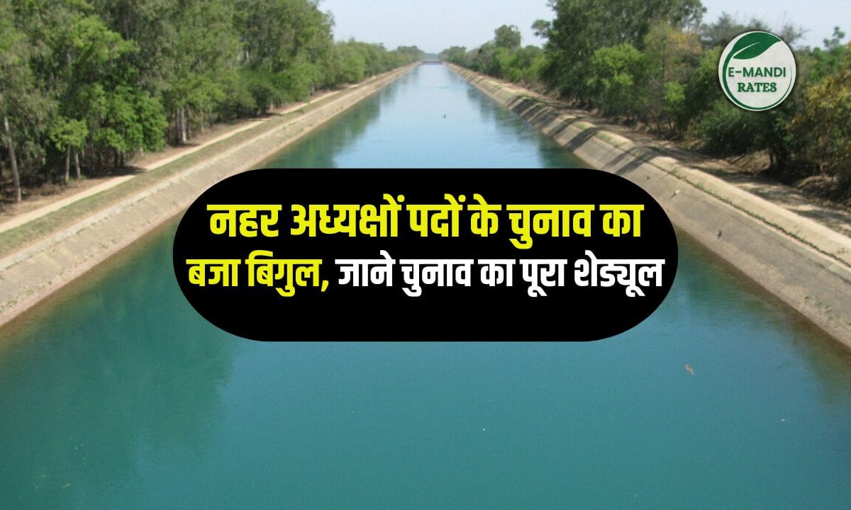 Bhakra Canal Chairman Election