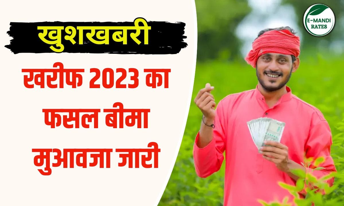 Crop insurance compensation for Kharif 2023 released