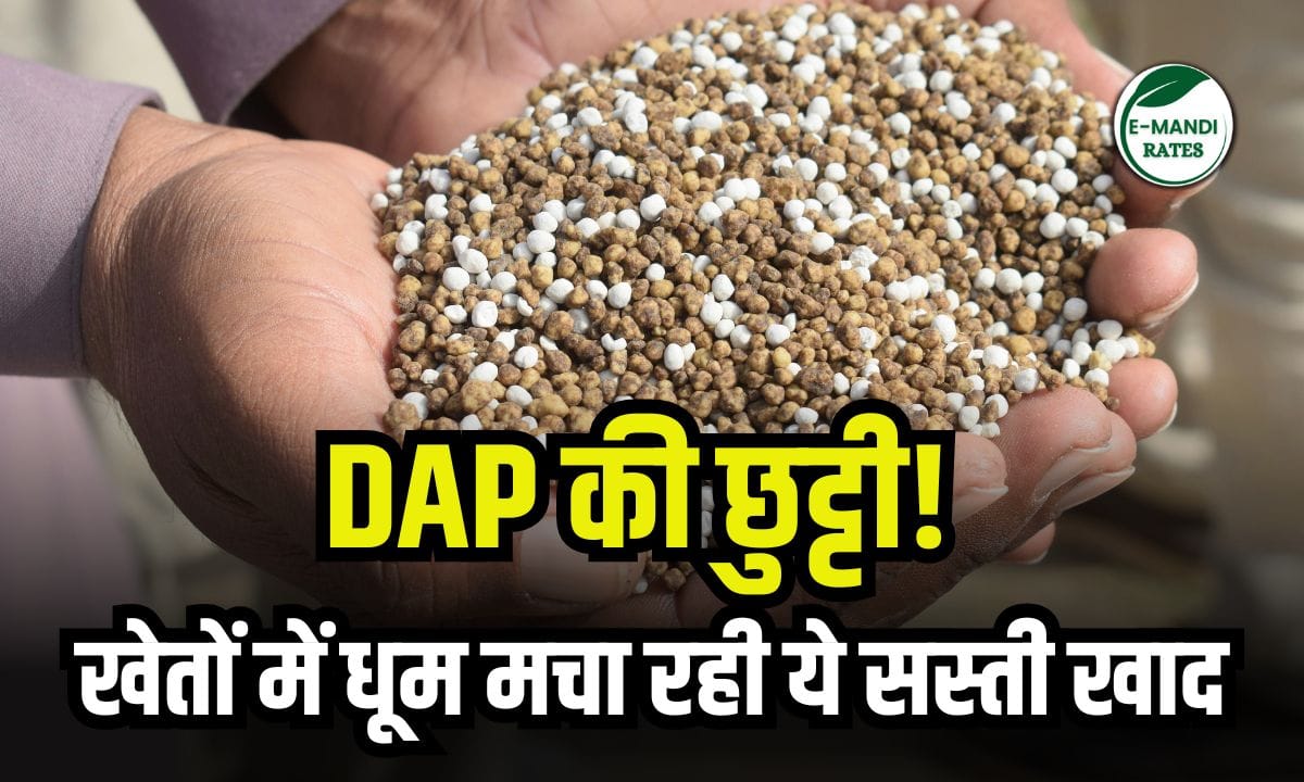 DAP और SSP