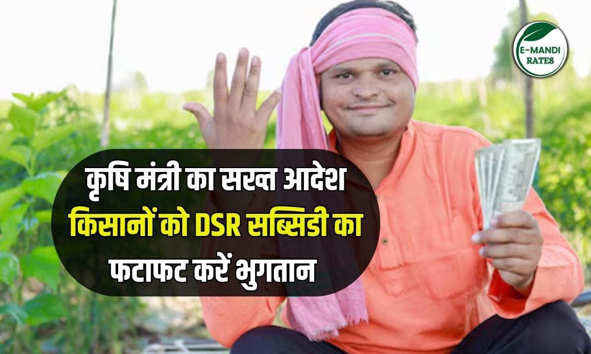 DSR Subsidy Payment
