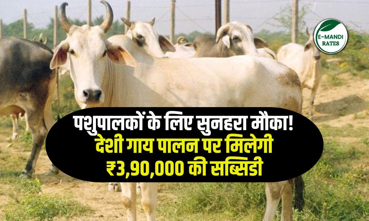 Desi Gopalan Protsahan Yojana