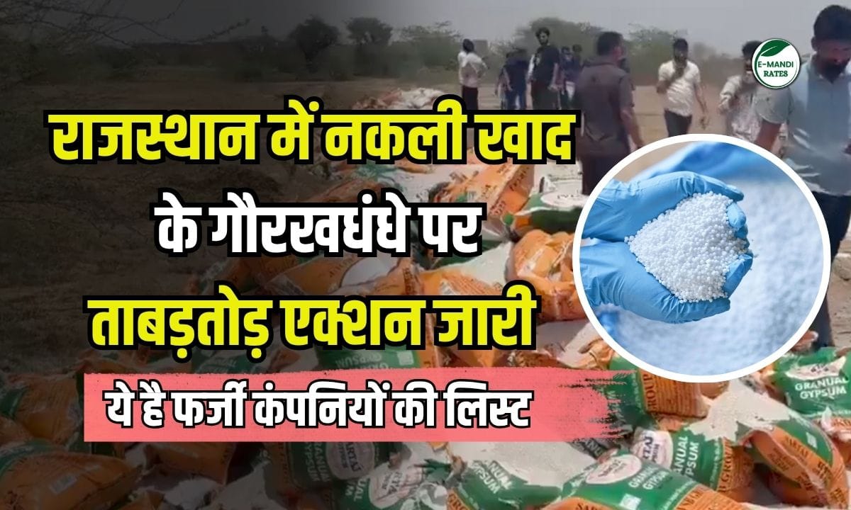 Fake fertilizer in Rajasthan