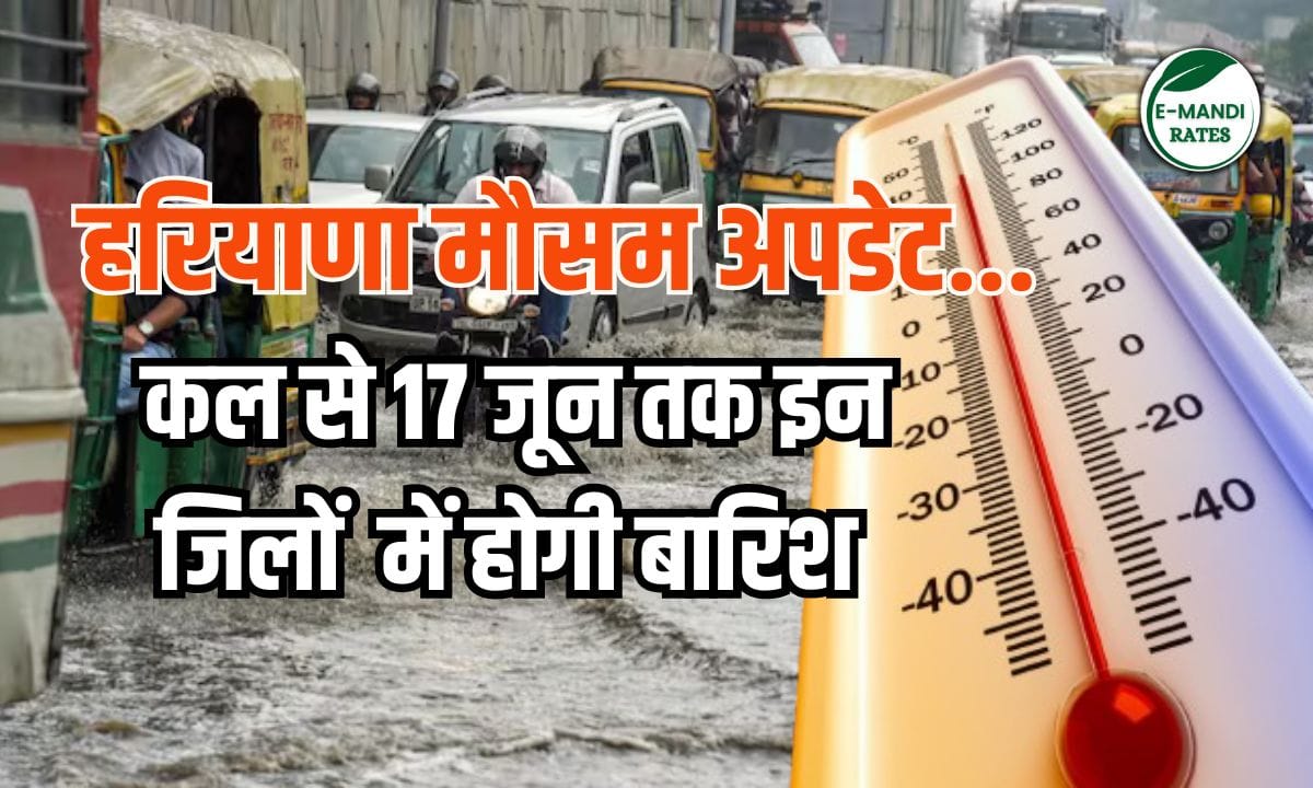 Haryana Weather Update 12 to 17 June