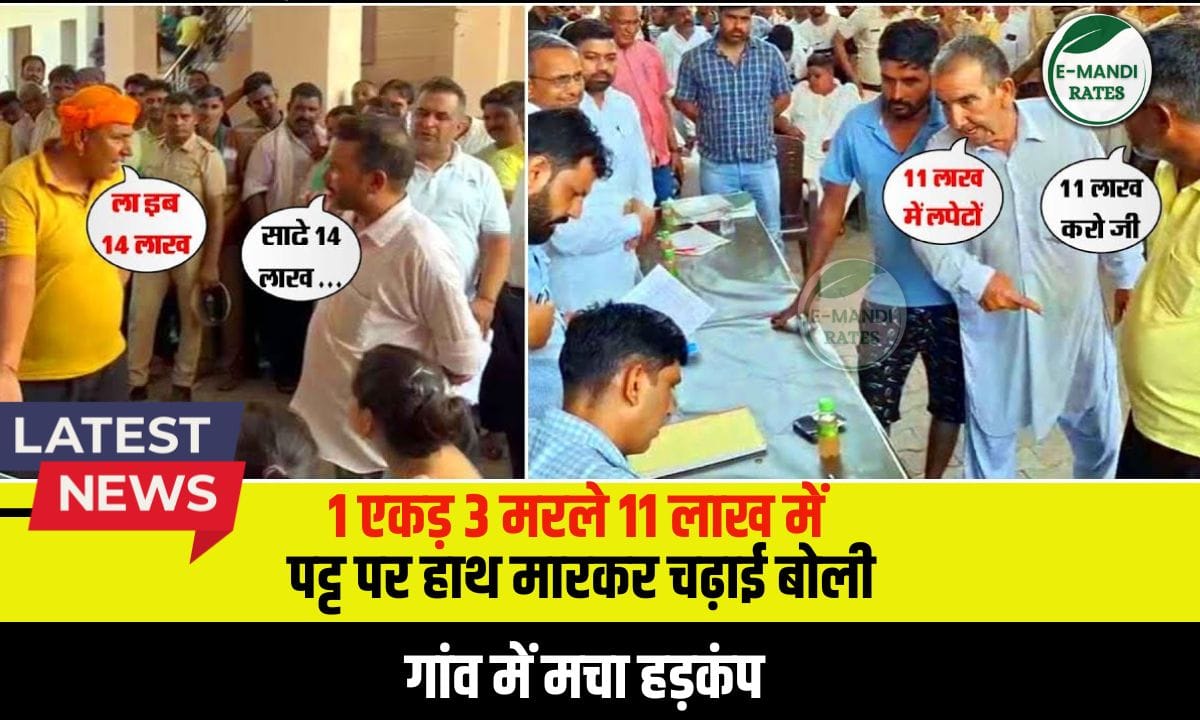 Haryana: हेलवा गांव में पंचायती जमीन 1 एकड़ 3 मरले 11 लाख में
