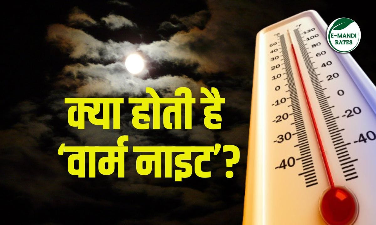 IMD Warm Night Warning