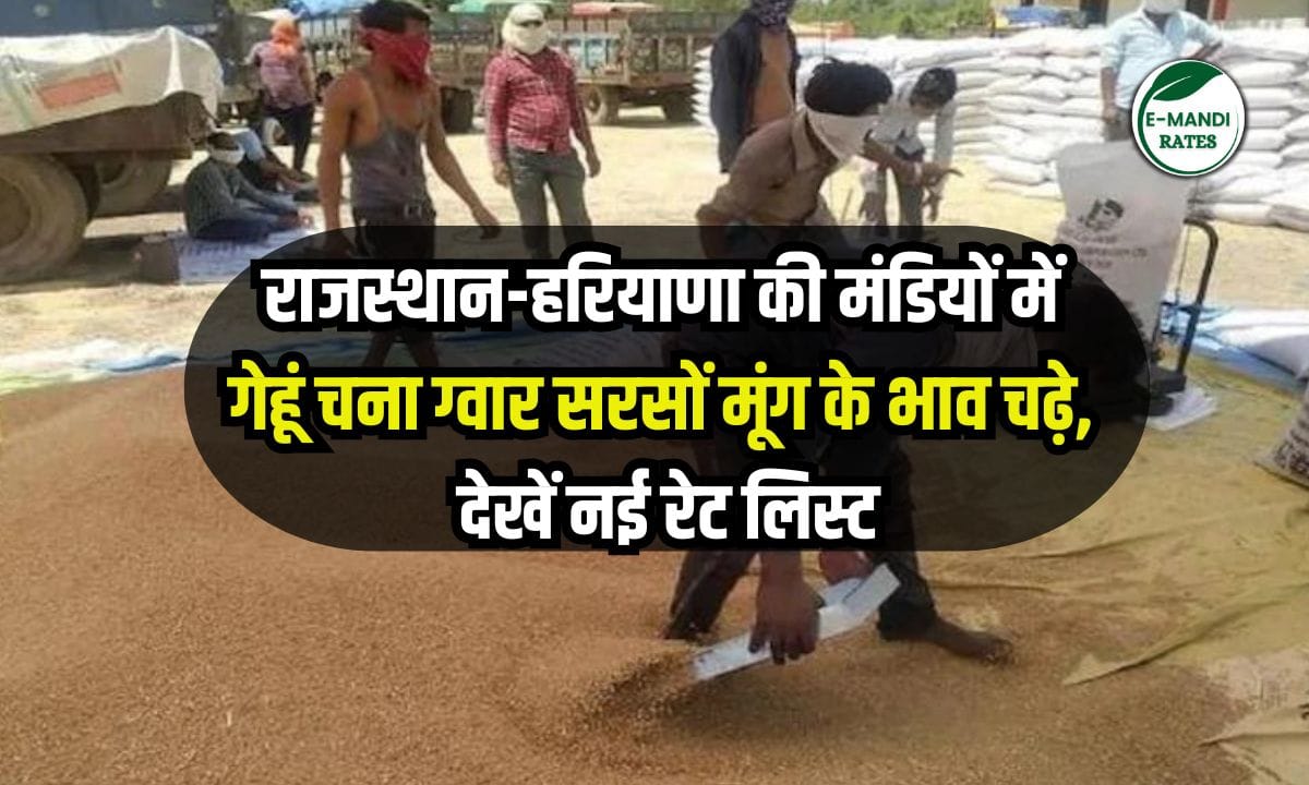 Mandi Bhav 10 June 2025
