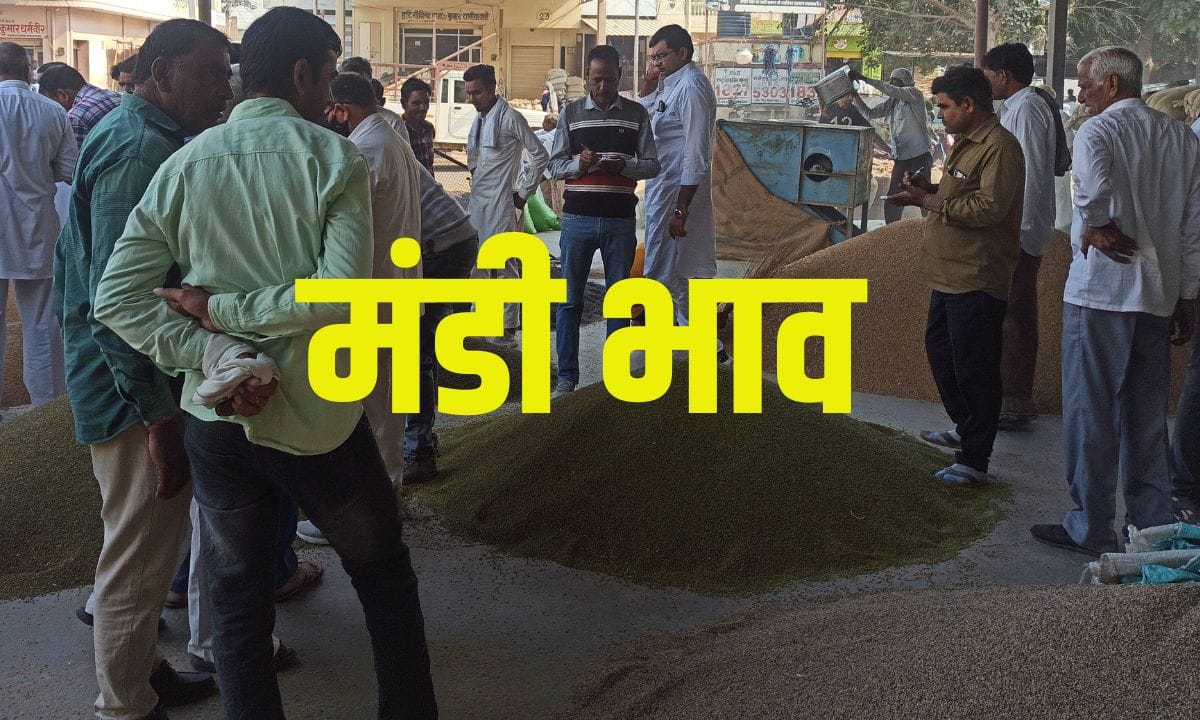 Mandi Bhav 14 June