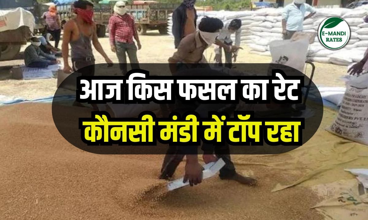 मंडी भाव 6 जून 2025