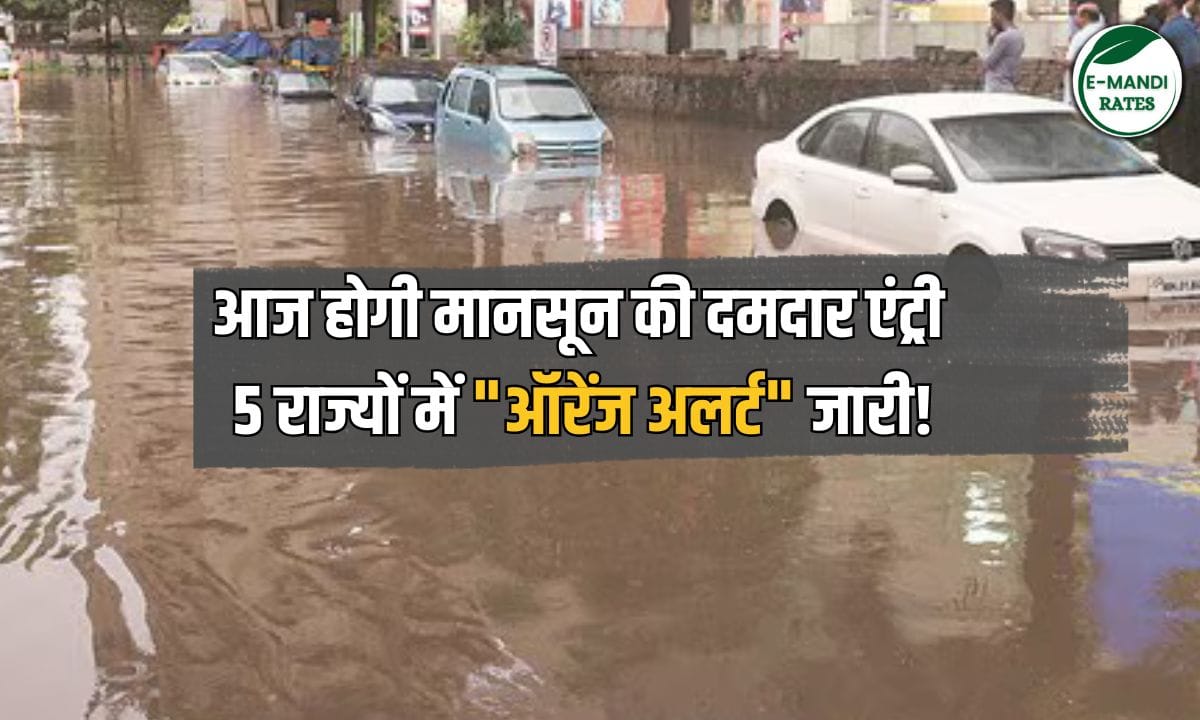 Monsoon Update