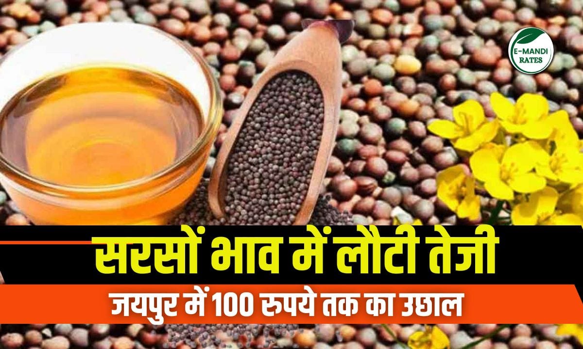 Mustard Price 2 June 2025
