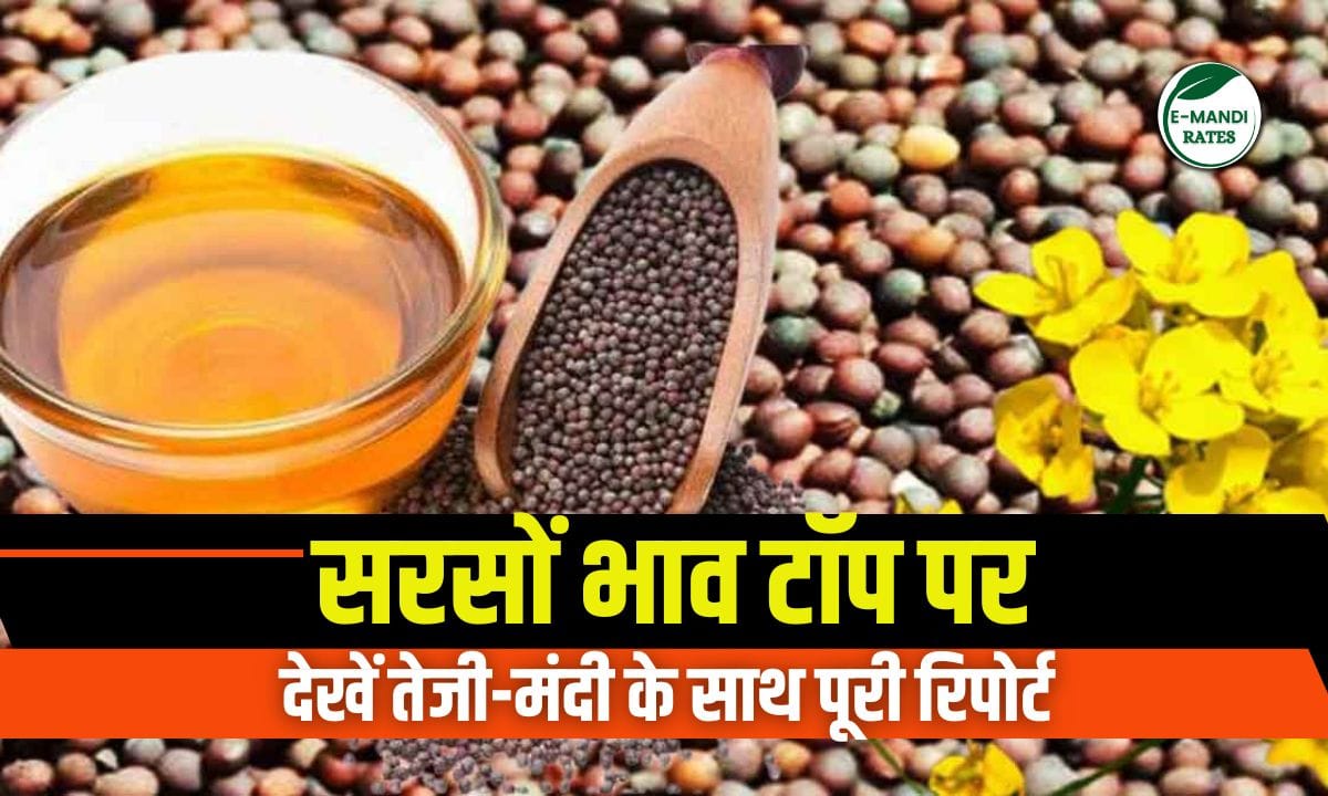 Mustard Prices 5 June 2025