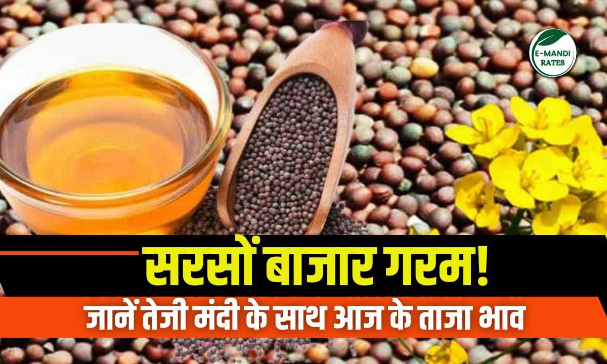 Mustard market is hot