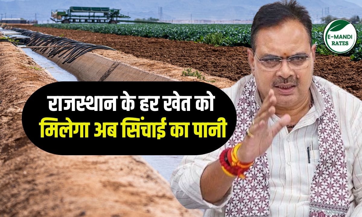 Now every farm in Rajasthan will get irrigation water