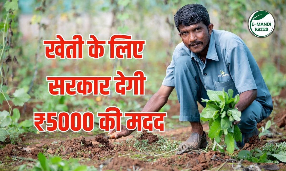 Paramparagat Krishi Vikas Yojana (PKVY)