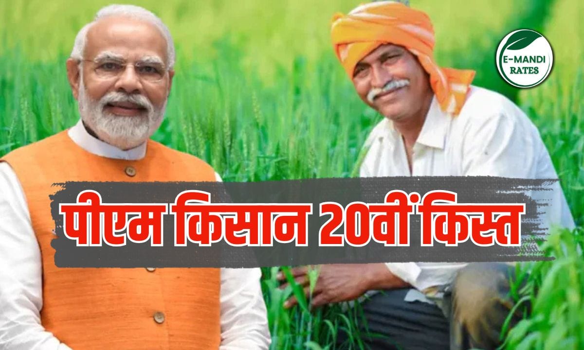 Pm kisan yojana 20th installment date