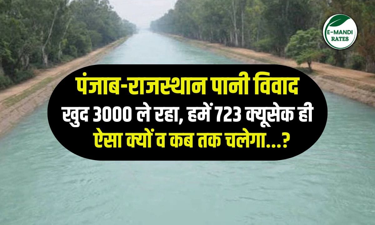 पानी विवाद के कारण सूखे खेत और आक्रोशित किसान
