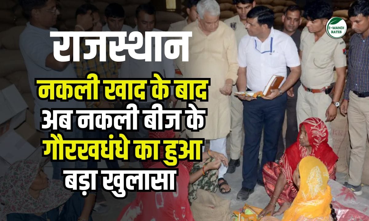 Rajasthan: Agriculture Minister raids fake seed traders
