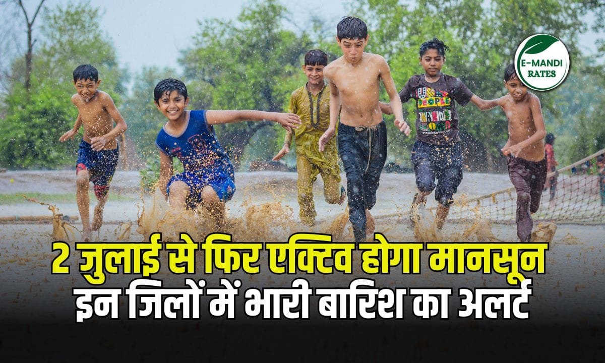 Rajasthan Monsoon Update july 2025
