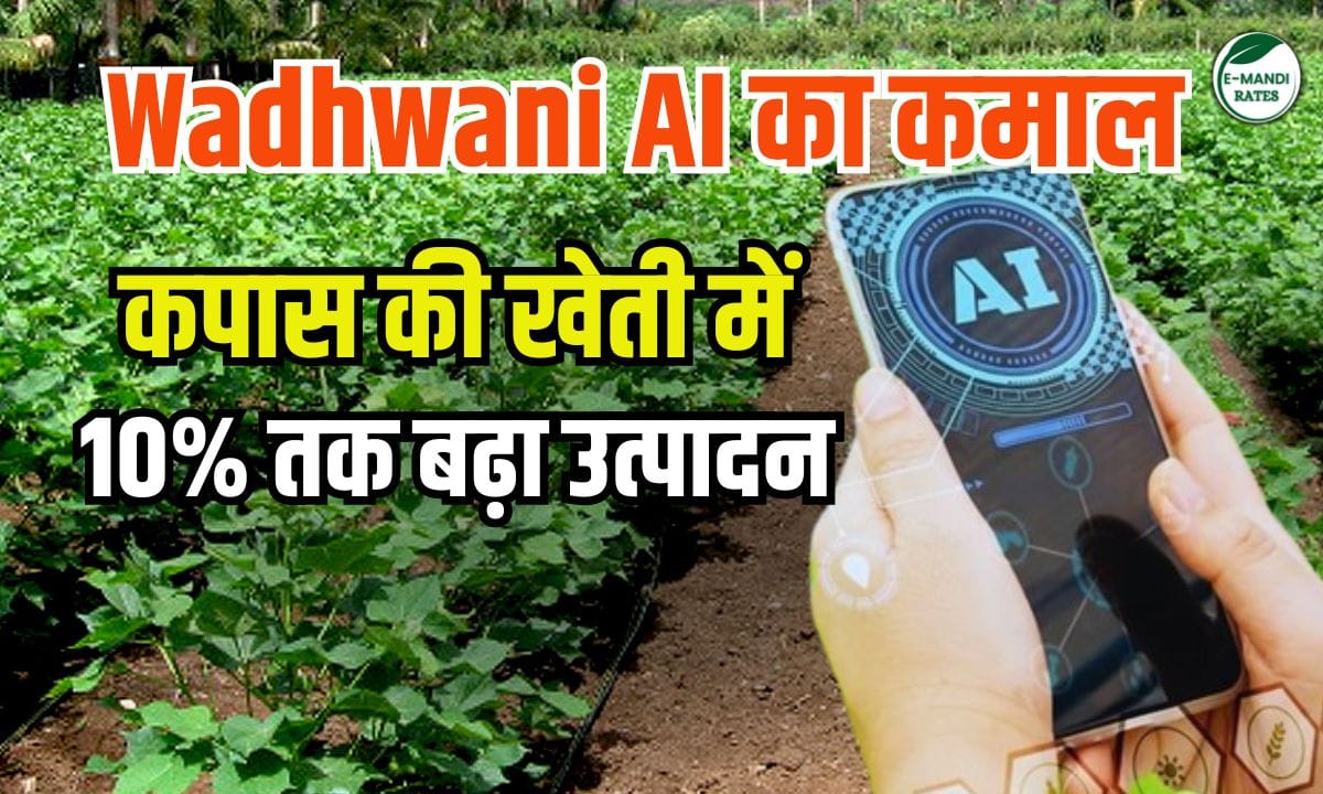Wadhwani AI