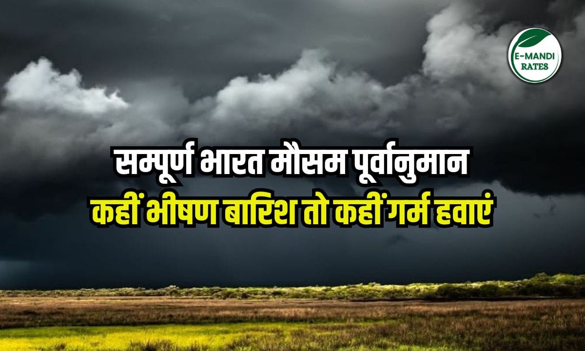 Weather Forecast 4 June 2025