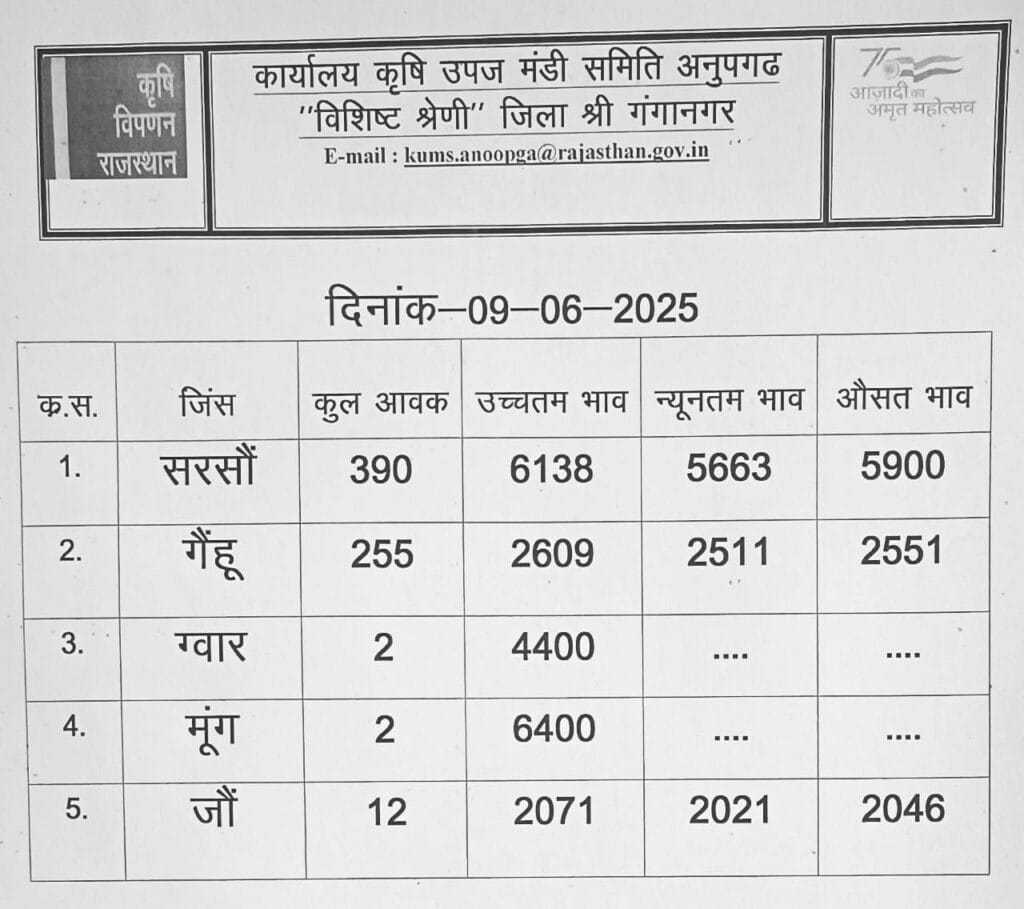 अनूपगढ़ मंडी भाव 