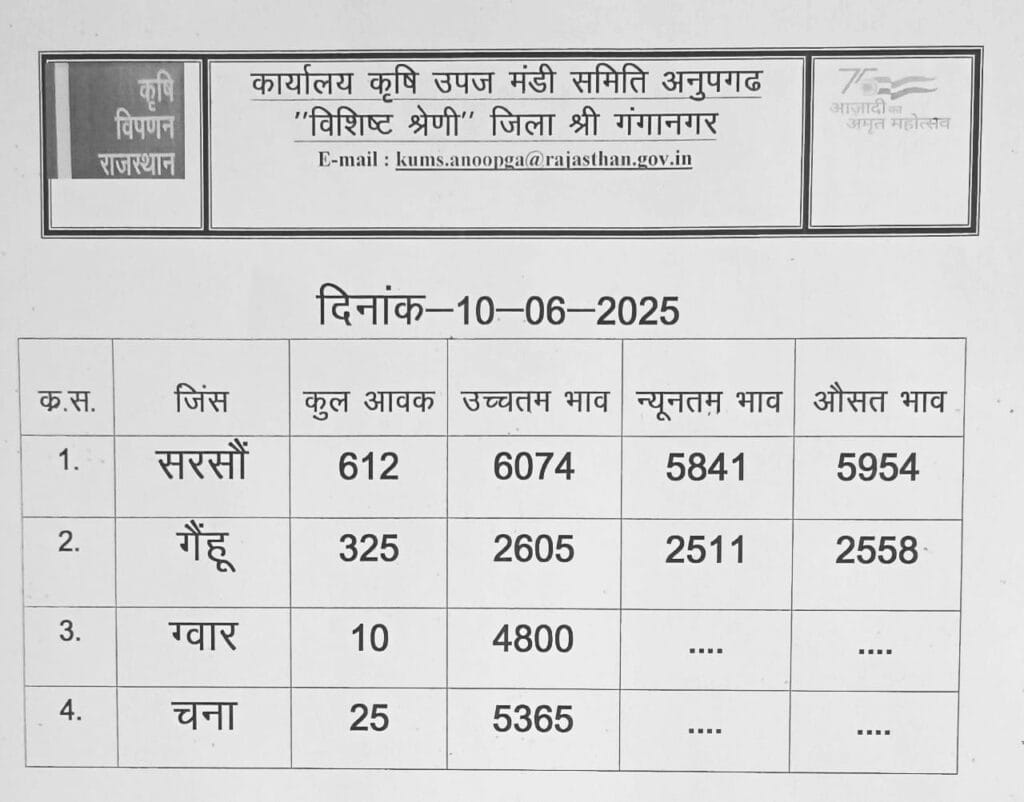 अनूपगढ़ अनाज मंडी का रेट 10 तारीख़ का
